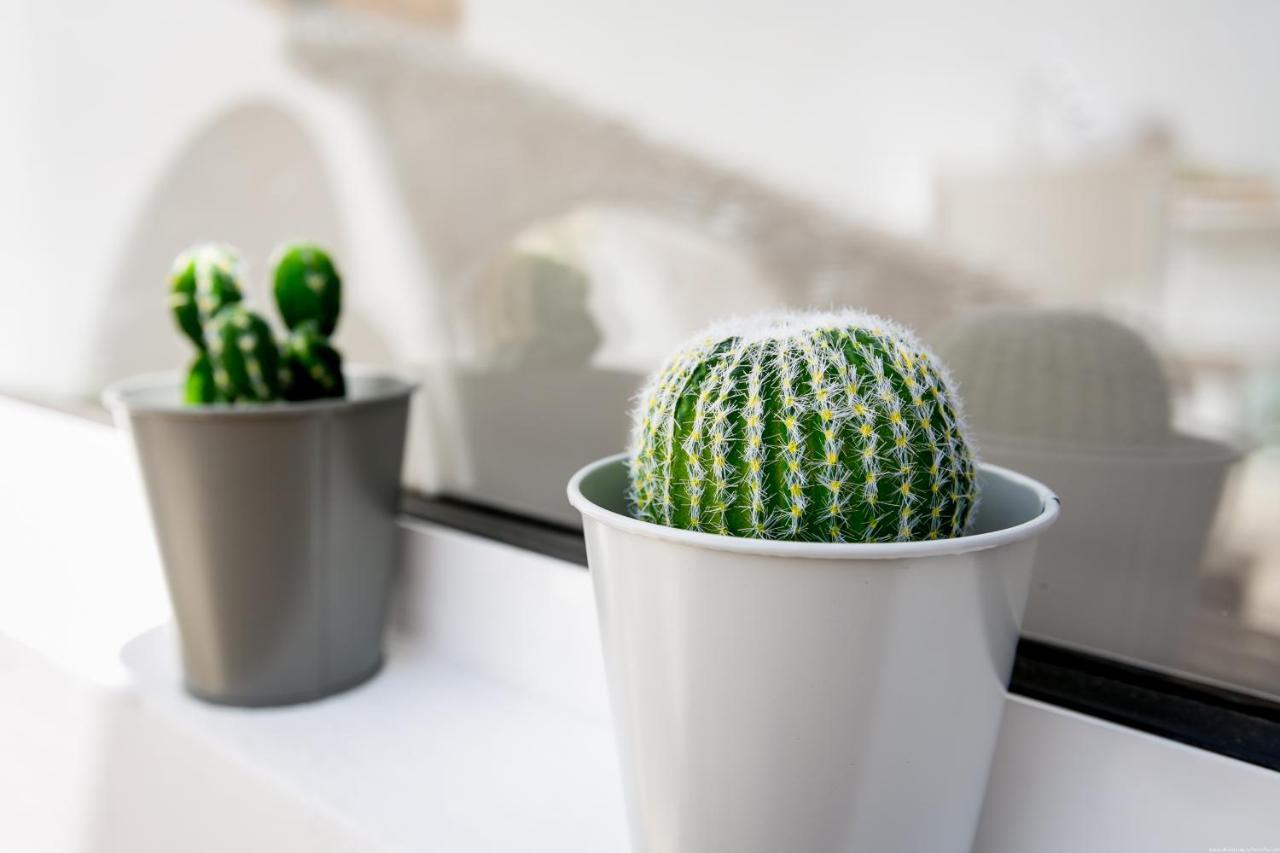 Cactus Apartment 圣米格尔德阿沃纳 外观 照片