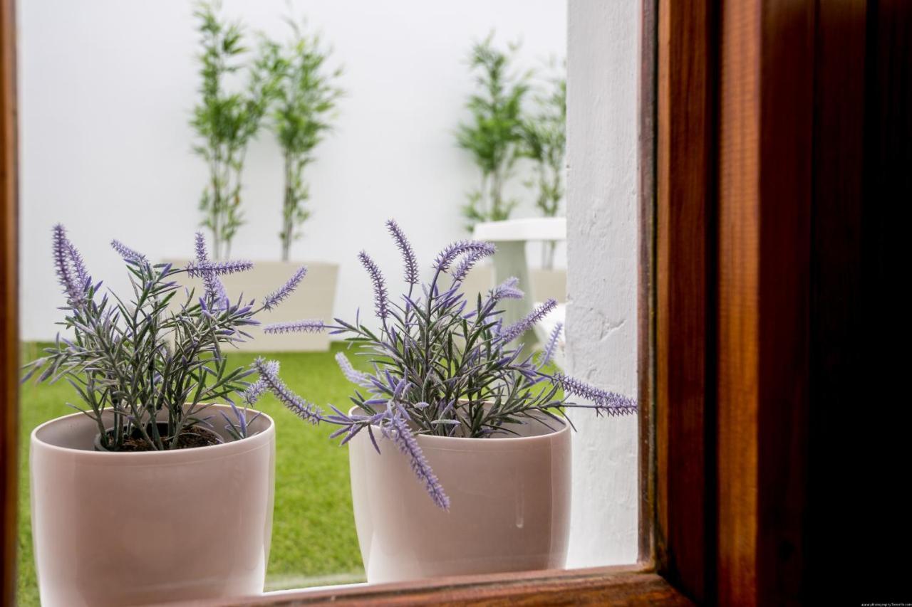 Cactus Apartment 圣米格尔德阿沃纳 外观 照片