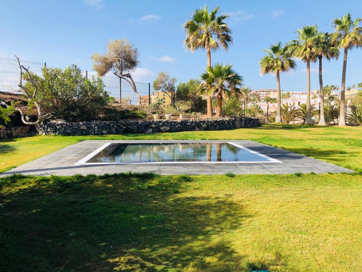 Cactus Apartment 圣米格尔德阿沃纳 外观 照片